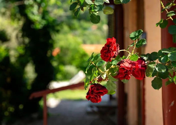 Boka View By Rosi