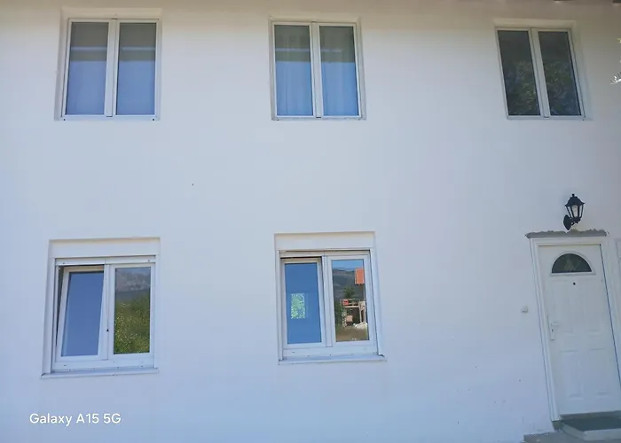 Radovici Family House